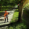 Podkrzesywarka spalinowa STIHL HT 133 wynajem Poznań - BIS Wypożyczalnia Foto - Miniatura 09